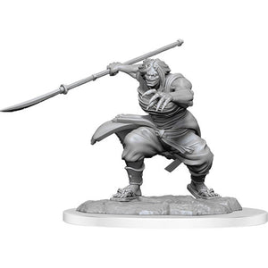 D&D Nolzur's Marvelous Unpainted Minis: W17 Female Oni