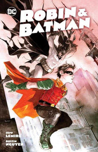 Robin & Batman Hardcover