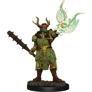 Pathfinder Battles Premium Male Half-Orc Druid